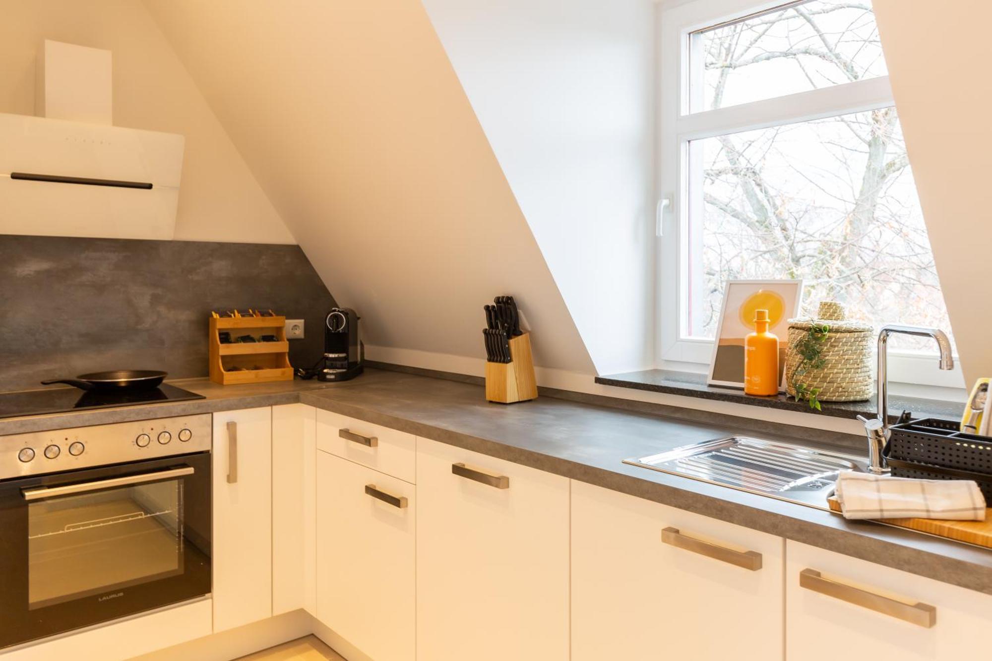 Soulscape Apartments Zwickau Kompakter Loft-Wohnraum Mit Lift Direkt In Die Wohnung, Modern, Zentrumsnah, Gratis Wifi المظهر الخارجي الصورة