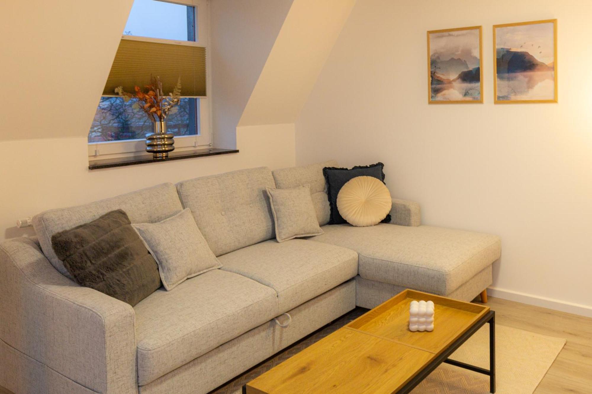 Soulscape Apartments Zwickau Kompakter Loft-Wohnraum Mit Lift Direkt In Die Wohnung, Modern, Zentrumsnah, Gratis Wifi المظهر الخارجي الصورة
